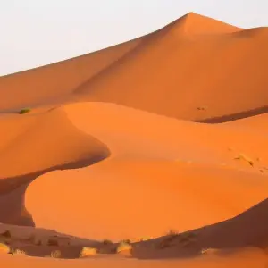 Explore From Fez: 3-Day Desert Tour to Marrakech for 3 days with Discover Morocco  and discover unforgettable experiences - Photo 5