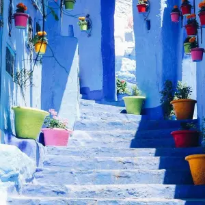 Explore Northern & Imperial Cities Tour for 5 days with Discover Morocco  and discover unforgettable experiences - Photo 2