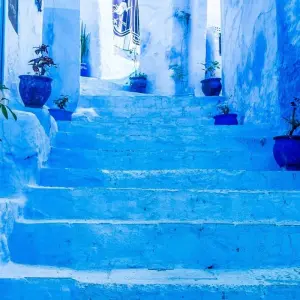 Explore Blue Northern & Imperial Cities Tour for 5 days with Discover Morocco  and discover unforgettable experiences - Photo 8