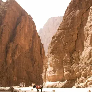 Explore Totally Morocco Tour from Fez for 10 days with Discover Morocco  and discover unforgettable experiences - Photo 3