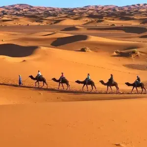 Explore From Fez: 3-Day Desert Tour to Marrakech for 3 days with Discover Morocco  and discover unforgettable experiences - Photo 11