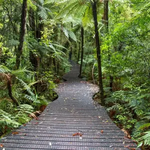 Explore Northern Explorer Rail, Sail and Heli Tour for 13 days with Discover New Zealand and discover unforgettable experiences - Photo 3