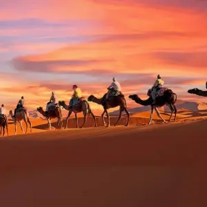 Explore 4 Days Tour From Tangier To Marrakech Via Sahara Desert for 4 days with Discover Morocco Tours and discover unforgettable experiences - Photo 3