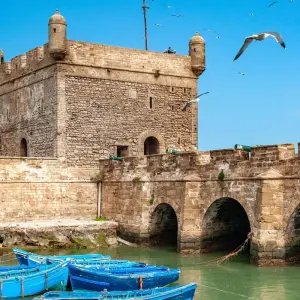 Explore Experience the Best of Marrakech in a 7 Day Private Adventure for 7 days with Discover Morocco Tours and discover unforgettable experiences - Photo 3