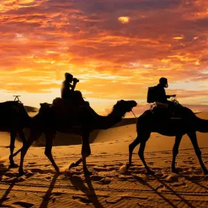 Explore 2 Day Marrakech to the Desert (M'hamid) for 2 days with Discover Morocco Tours and discover unforgettable experiences - Photo 3