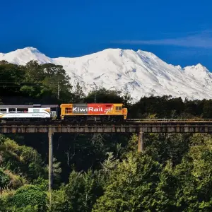 Explore Northern Explorer Rail, Sail and Heli Tour for 13 days with Discover New Zealand and discover unforgettable experiences - Photo 6