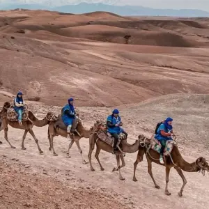 Explore 4-Day Marrakech Adventure: Waterfalls, Quads, Camels, City Tour, and Atlas Mountains. for 4 days with Discover Morocco Tours and discover unforgettable experiences - Photo 4