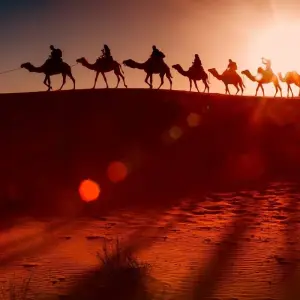 Explore 3 Day 2 Night Desert Adventure from Fes and Back for 3 days with Discover Morocco Tours and discover unforgettable experiences - Photo 2