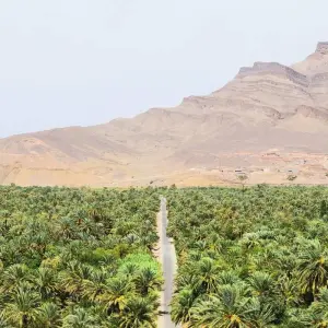 Explore 3-DAY SHARED GROUP TOUR FROM MARRAKECH TO MERZOUGA  DESERT for 3 days with Discover Morocco Tours and discover unforgettable experiences - Photo 3