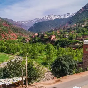 Explore 4-Day Marrakech Adventure: Waterfalls, Quads, Camels, City Tour, and Atlas Mountains. for 4 days with Discover Morocco Tours and discover unforgettable experiences - Photo 6