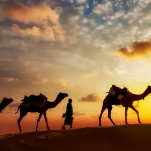 Explore The Great Sahara Expedition: Casablanca to Dakhla Morocco for 15 days with Discover Morocco Tours and discover unforgettable experiences - Photo 2