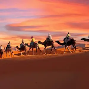 Explore 2 Days 1 Night Desert Trip from Fes to Marrakech for 2 days with Discover Morocco Tours and discover unforgettable experiences - Photo 4