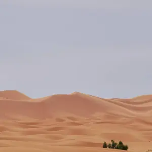 Explore The Great Sahara Expedition: Casablanca to Dakhla Morocco for 15 days with Discover Morocco Tours and discover unforgettable experiences - Photo 3