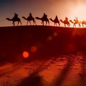 Explore 4 Day Desert Tour from Fes to Marrakech for 4 days with Discover Morocco Tours and discover unforgettable experiences - Photo 5