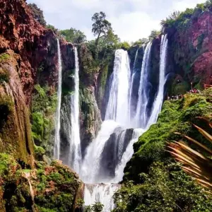 Explore Discover the Imperial Cities & Ouzoud Waterfalls on a 8 -Day Tour from Casablanca for 8 days with Discover Morocco Tours and discover unforgettable experiences - Photo 11