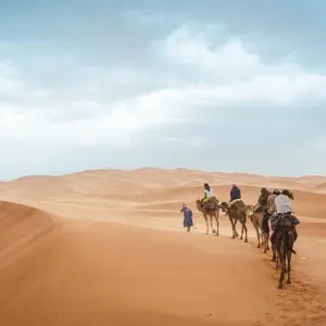 Explore 4 Day Desert Tour from Fes to Marrakech for 4 days with Discover Morocco Tours and discover unforgettable experiences - Photo 6