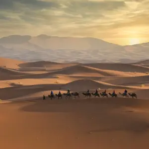 Explore Marrakech to Merzouga 3-Day Desert Safari for 3 days with Discover Morocco Tours and discover unforgettable experiences - Photo 3