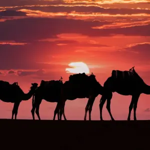 Explore MERZOUGA DESERT & IMPERIAL CITIES. 5DAYS/4NIGHTS FROM MARRAKECH for 5 days with Discover Morocco Tours and discover unforgettable experiences - Photo 4