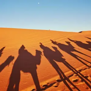 Explore 7 Days Tour from Tangier to Marrakech Morocco Tour for 7 days with Discover Morocco Tours and discover unforgettable experiences - Photo 3