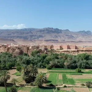 Explore 16 day Travel Adventure for Senior Travelers from Casablanca for 16 days with Discover Morocco Tours and discover unforgettable experiences - Photo 4