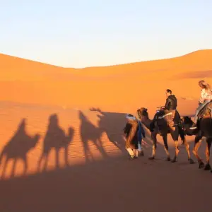 Explore 9 days 8 nights Morocco History and Culture tour  from Tangier for 9 days with Discover Morocco Tours and discover unforgettable experiences - Photo 7