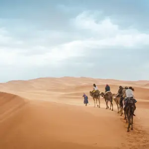 Explore 5 days 4 nights desert tour from Marrakech for 5 days with Discover Morocco Tours and discover unforgettable experiences - Photo 5