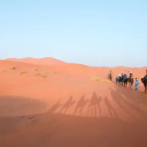 Explore 7 days 6 nights Private Tour From Casablanca for 7 days with Discover Morocco Tours and discover unforgettable experiences - Photo 3