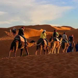 Explore 7 Night-8 day Casablanca round trip tour for 8 days with Discover Morocco Tours and discover unforgettable experiences - Photo 6