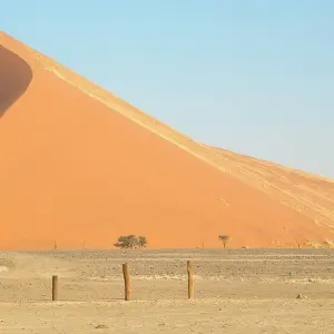Explore 4-Day Etosha National Park and Swakopmund (Lodging) for 4 days with Discovery Transfers and Tours and discover unforgettable experiences - Photo 2