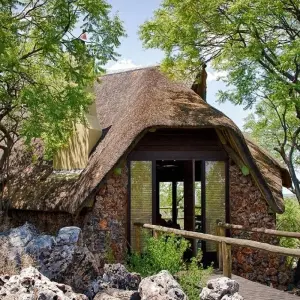 Explore 3 Days Etosha National Park (Lodging) for 3 days with Discovery Transfers and Tours and discover unforgettable experiences - Photo 5