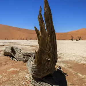 Explore 3-Day Sossusvlei Experience (lodging) for 3 days with Discovery Transfers and Tours and discover unforgettable experiences - Photo 5