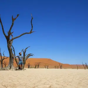 Explore 3-Day Sossusvlei Experience (lodging) for 3 days with Discovery Transfers and Tours and discover unforgettable experiences - Photo 6