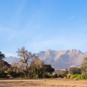 Explore 4-Day Etosha National Park and Swakopmund (Lodging) for 4 days with Discovery Transfers and Tours and discover unforgettable experiences - Photo 5