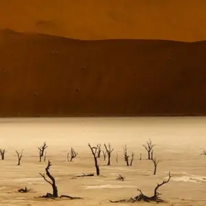 Explore 7-Days Sossusvlei, Swakopmund & Etosha National Park (Lodging) for 7 days with Discovery Transfers and Tours and discover unforgettable experiences - Photo 7