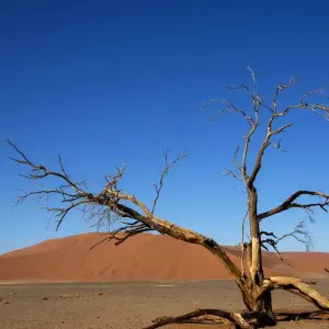 Explore 3-Day Sossusvlei Experience (lodging) for 3 days with Discovery Transfers and Tours and discover unforgettable experiences - Photo 7