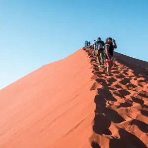 Explore 8-Day Sossusvlei, Swakop, Twyfelfontein & Etosha (Lodging) for 8 days with Discovery Transfers and Tours and discover unforgettable experiences - Photo 4