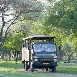 Explore 3 Days Etosha National Park (Lodging) for 3 days with Discovery Transfers and Tours and discover unforgettable experiences - Photo 7