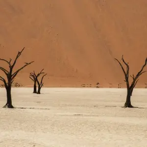 Explore 3-Day Sossusvlei Experience (lodging) for 3 days with Discovery Transfers and Tours and discover unforgettable experiences - Photo 8