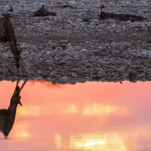 Explore 16-Days Top Sightseeing & Cultural Tour for 16 days with Discovery Transfers and Tours and discover unforgettable experiences - Photo 8