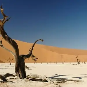 Explore Sossusvlei & Swakopmund (Accommodated) - 4 Days for 4 days with Discovery Transfers and Tours and discover unforgettable experiences - Photo 9