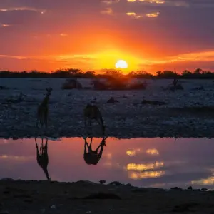 Explore 16-Days Top Sightseeing & Cultural Tour for 16 days with Discovery Transfers and Tours and discover unforgettable experiences - Photo 10