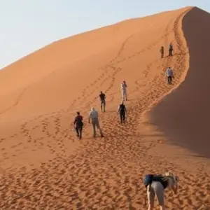 Explore Namibia Explorer (Accommodated) - 10 Days for 10 days with Discovery Transfers and Tours and discover unforgettable experiences - Photo 10