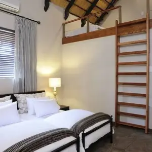 Explore 3 Days Etosha National Park (Lodging) for 3 days with Discovery Transfers and Tours and discover unforgettable experiences - Photo 10