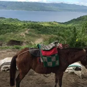 Explore 13 Days Philippines Explorer with Boracay for 13 days with Do You Travel and discover unforgettable experiences - Photo 6