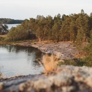 Explore 8-day Kayak & Wild Camp the Archipelago - self-guided for 8 days with Do the North and discover unforgettable experiences - Photo 6