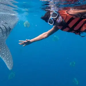 Explore 16 Days Do The Philippines Group Adventure Tour for 16 days with Do You Travel and discover unforgettable experiences - Photo 10