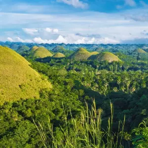 Explore 12 Days Ultimate Manila and Cebu - Philippines Island Hopping for 12 days with Do You Travel and discover unforgettable experiences - Photo 11