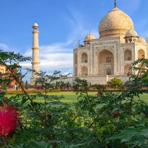 Explore First Time Travel - Amazing North India Trip for 5 days with Divyan Holidays and discover unforgettable experiences - Photo 8