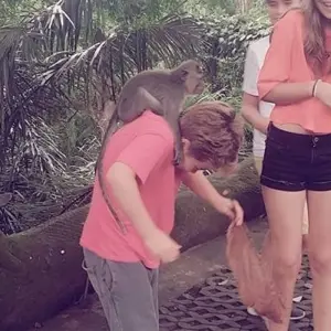 Explore 4 Days Sightseeing Bali Tour for 4 days with Diwira Wisata Indonesia and discover unforgettable experiences - Photo 2