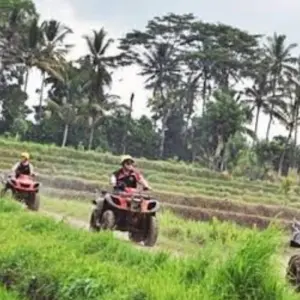 Explore Epic 5-Day Bali Expedition: Temples, Tropical Splendors, And Natural Adventure Thrills for 5 days with Diwira Wisata Indonesia and discover unforgettable experiences - Photo 6